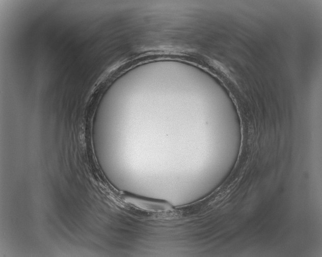 X0000082681307200702161648