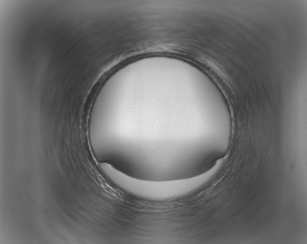 X0000082681308200702161648