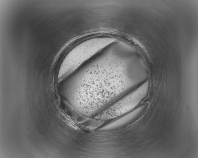 X0000082681310200702161648