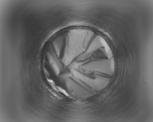 X0000082681311200702161648