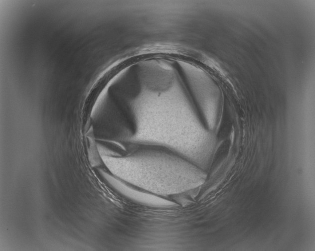 X0000082681312200702161648