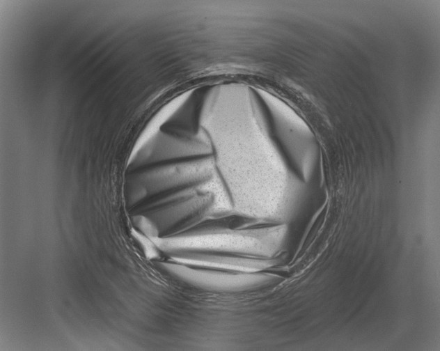 X0000082681313200702161648