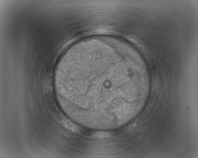 X0000082681314200702161648