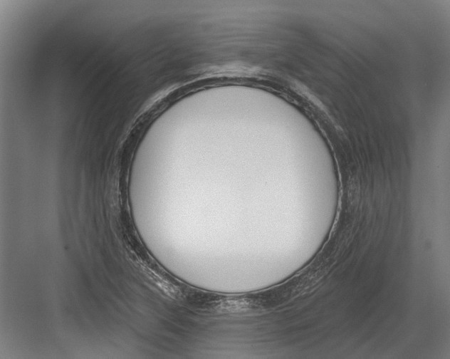 X0000082681315200702161648