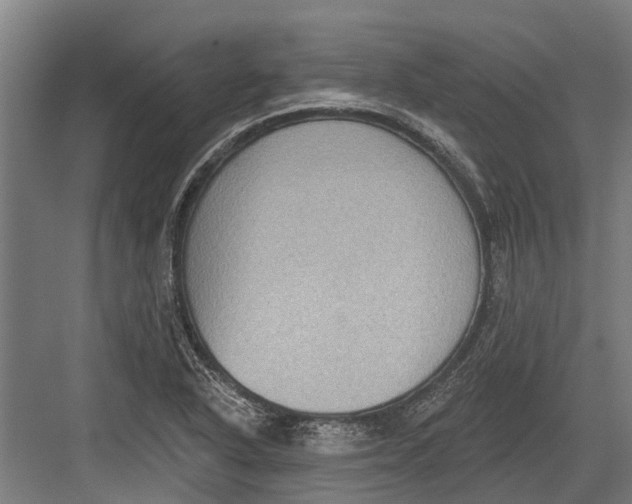 X0000082681318200702161648