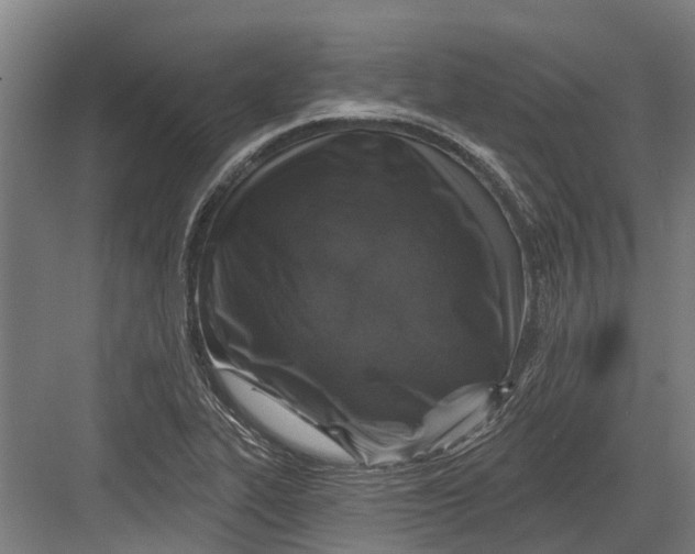 X0000082681319200702161648