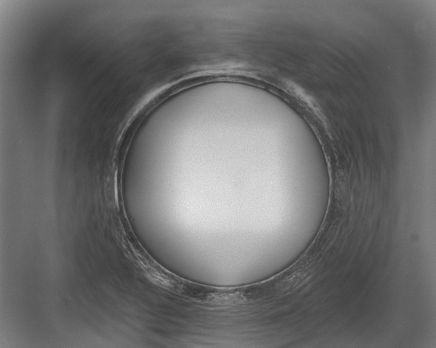 X0000082681320200702161648