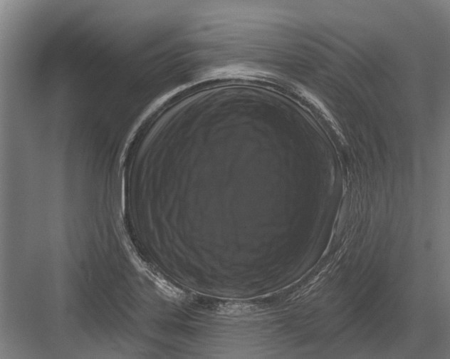 X0000082681323200702161648