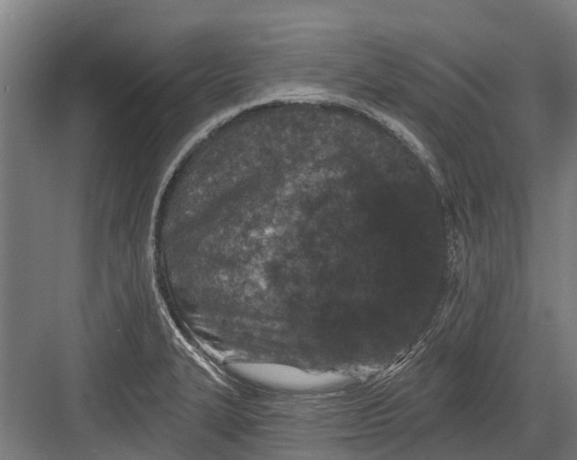 X0000082681327200702161648