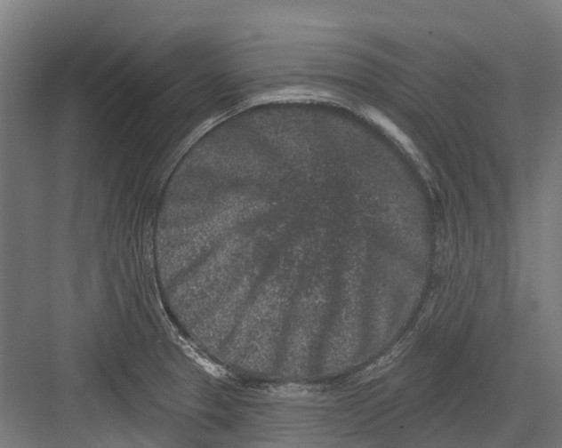 X0000082681329200702161648