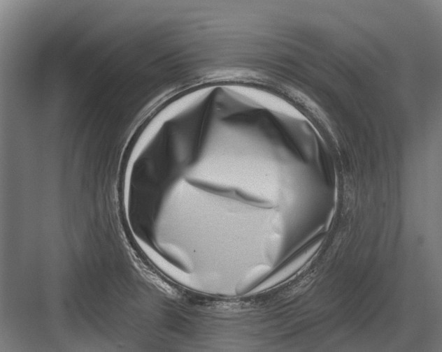 X0000082681330200702161648