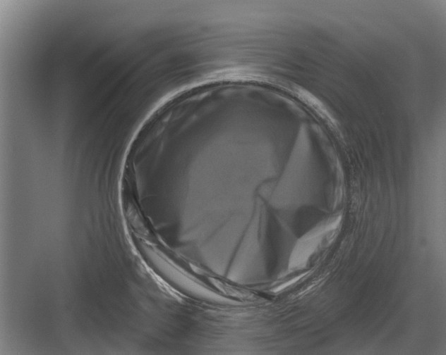 X0000082681334200702161648