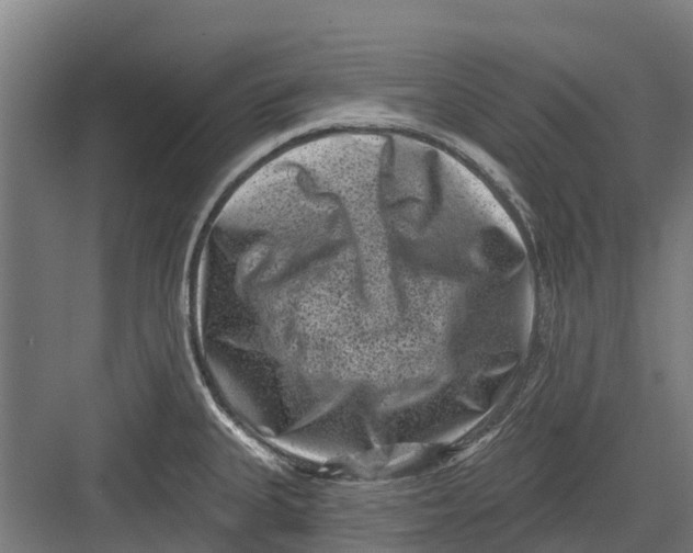 X0000082681335200702161648