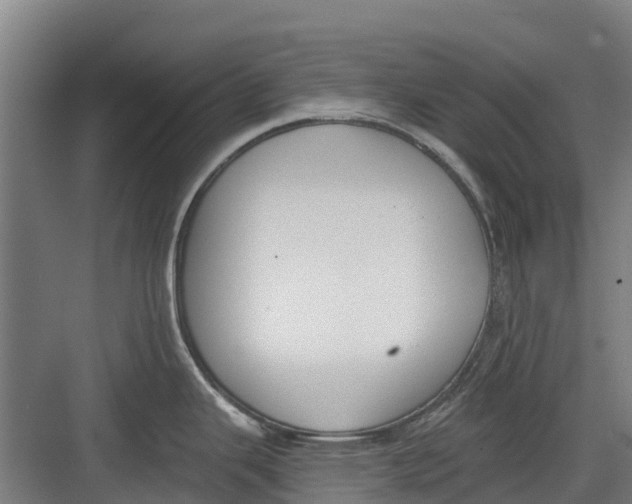 X0000082681343200702161648