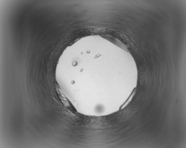 X0000082681345200702161647