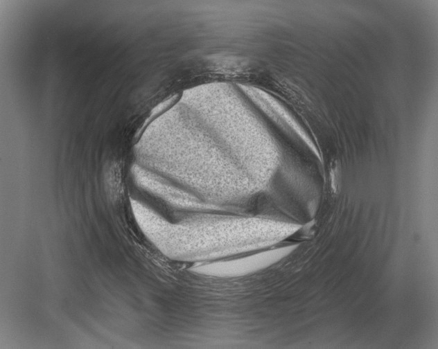 X0000082681347200702161647