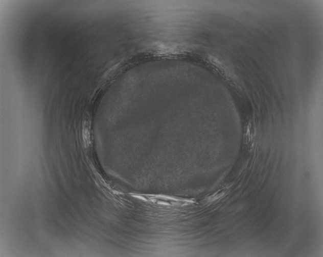 X0000082681348200702161647