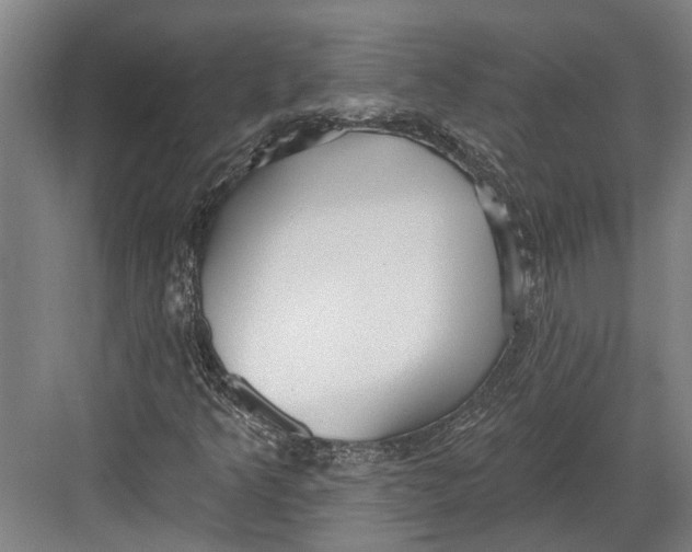 X0000082681349200702161647