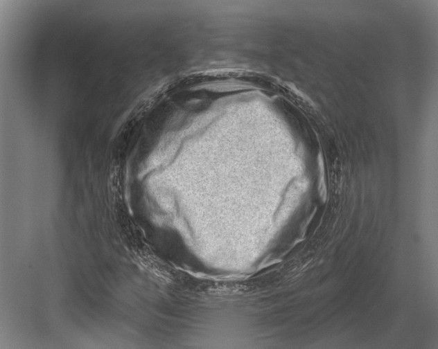 X0000082681351200702161647