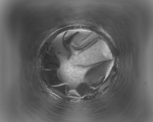 X0000082681352200702161647