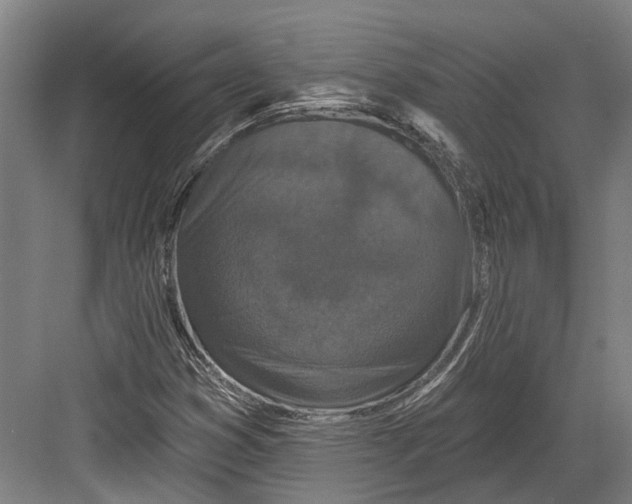 X0000082681353200702161647