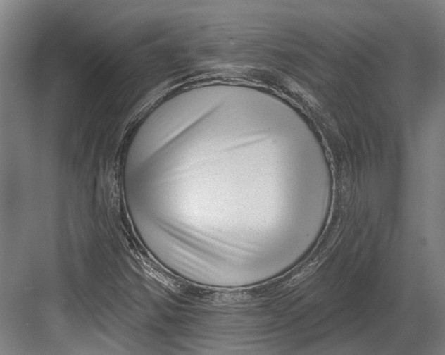 X0000082681354200702161647