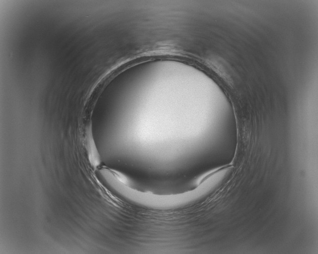 X0000082681356200702161647