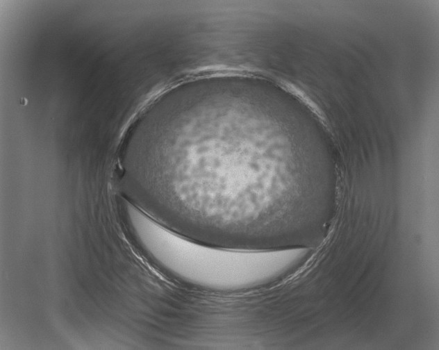 X0000082681357200702161647