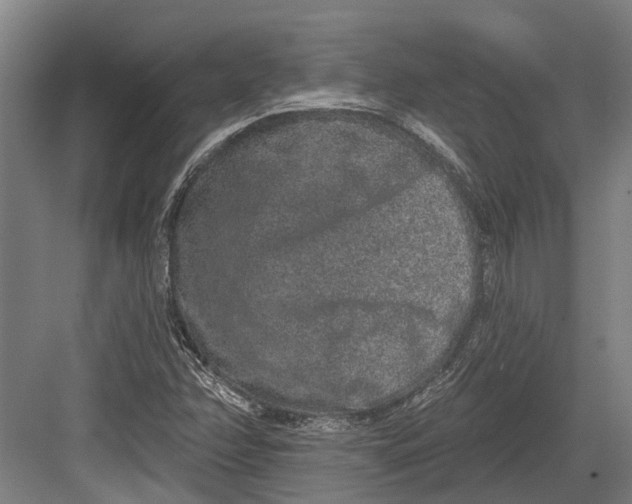 X0000082681358200702161647