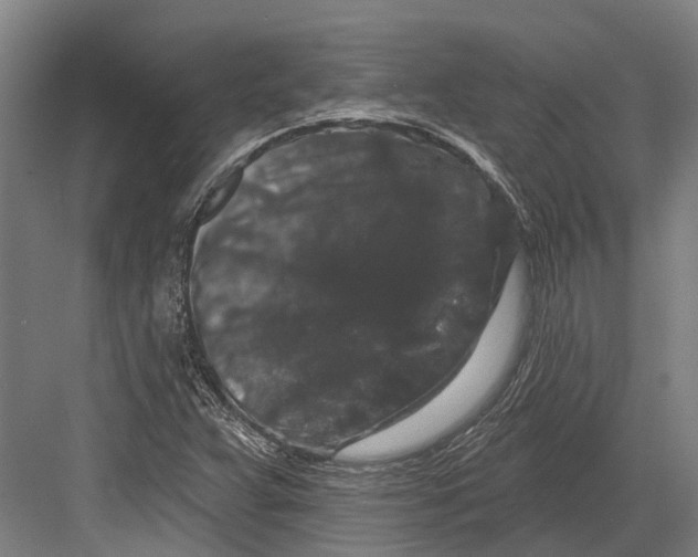 X0000082681359200702161647