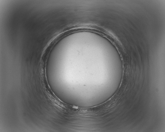 X0000082681360200702161647