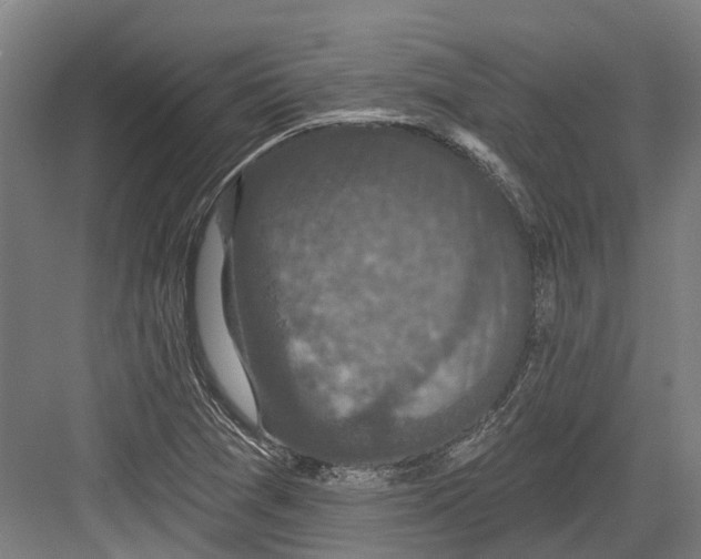 X0000082681361200702161647