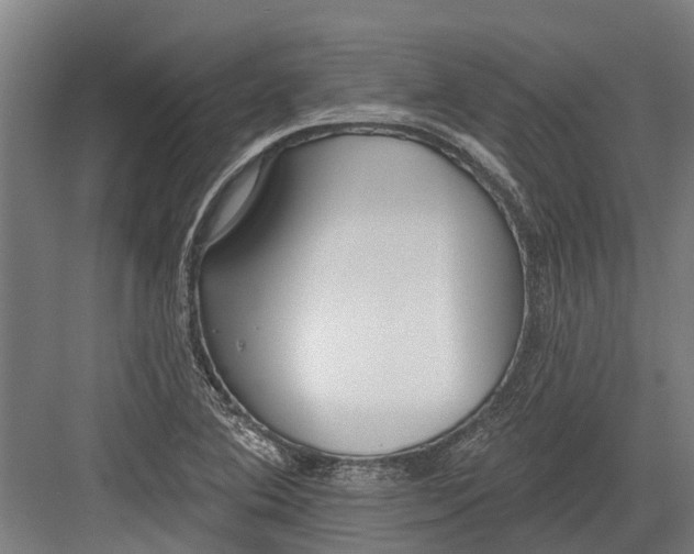 X0000082681364200702161647