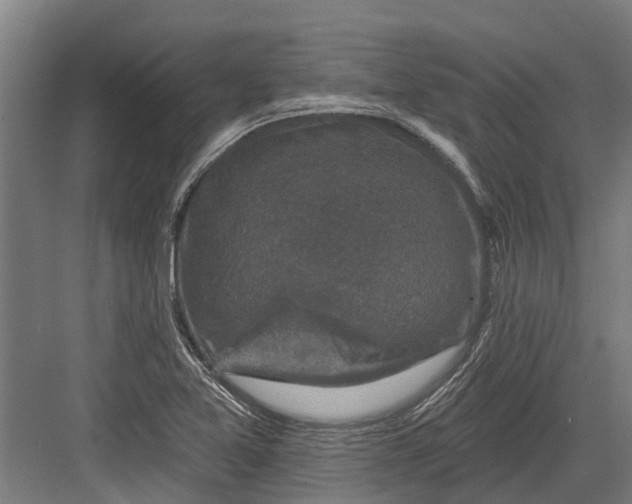 X0000082681365200702161647