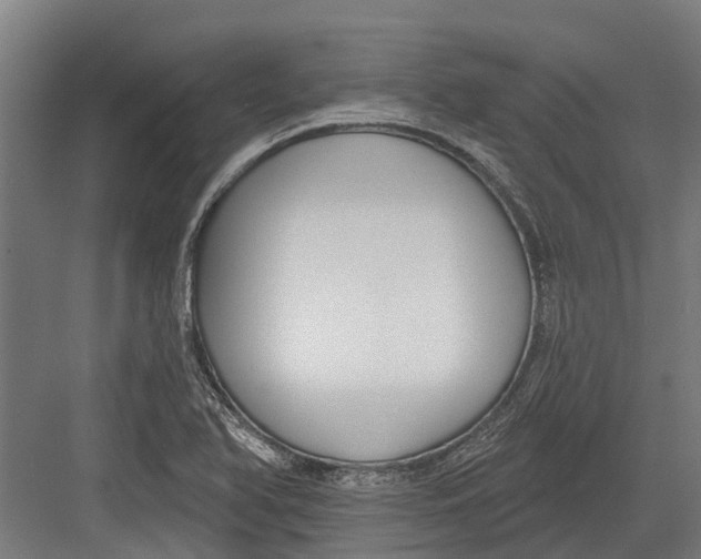 X0000082681366200702161647