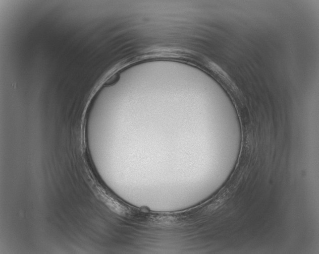 X0000082681370200702161647