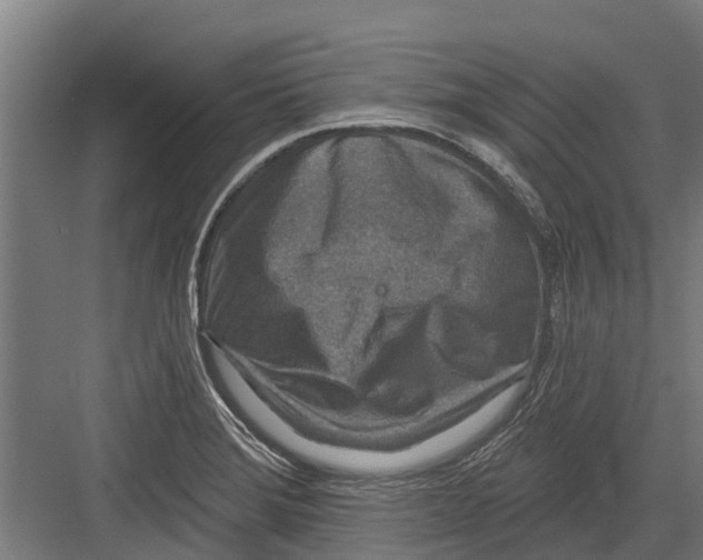 X0000082681372200702161647