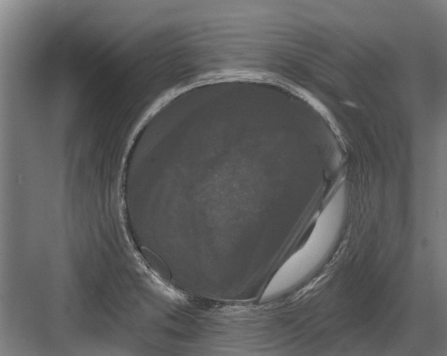 X0000082681373200702161647