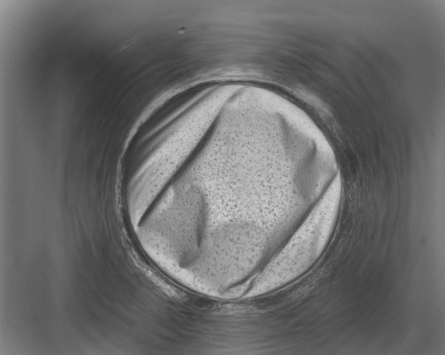 X0000082681374200702161647