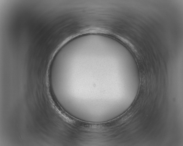 X0000082681375200702161647