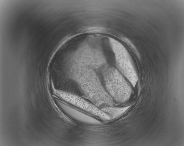 X0000082681376200702161647