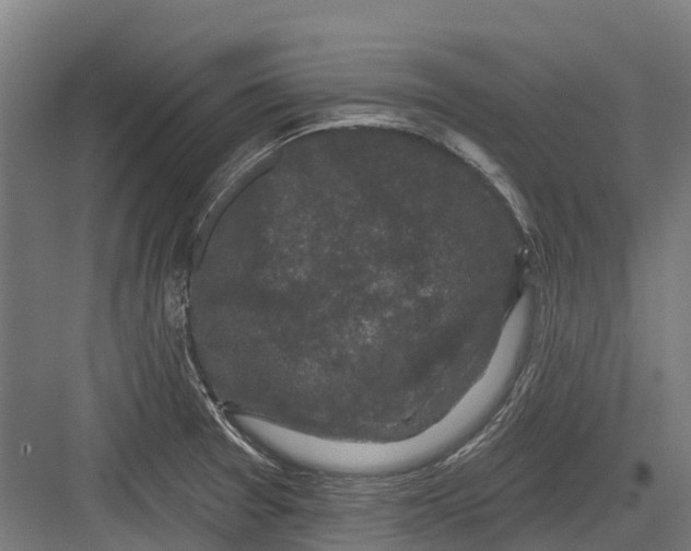 X0000082681377200702161647