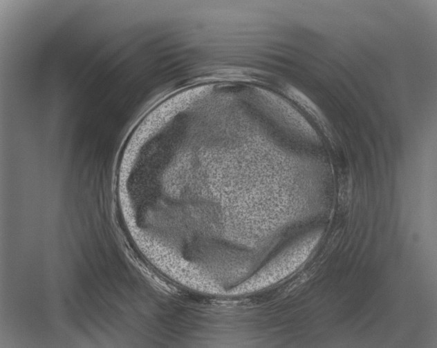 X0000082681378200702161647