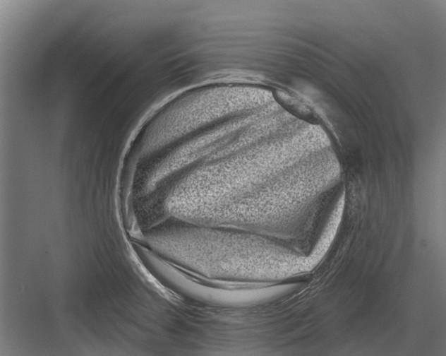 X0000082681379200702161647