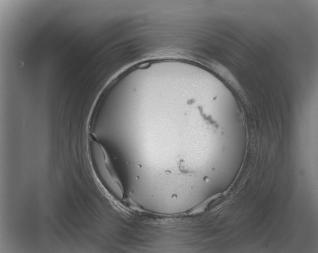 X0000082681380200702161647