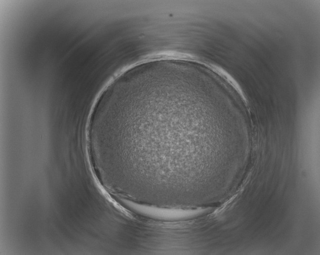 X0000082681381200702161647