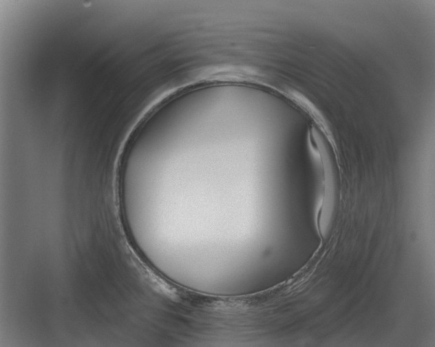 X0000082681384200702161647