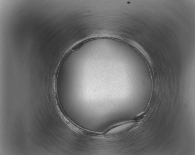 X0000082681388200702161647