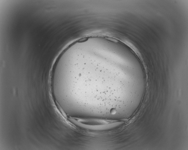 X0000082681392200702161647