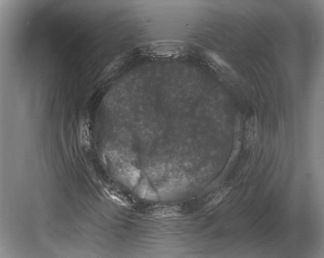 X0000082681394200702161646